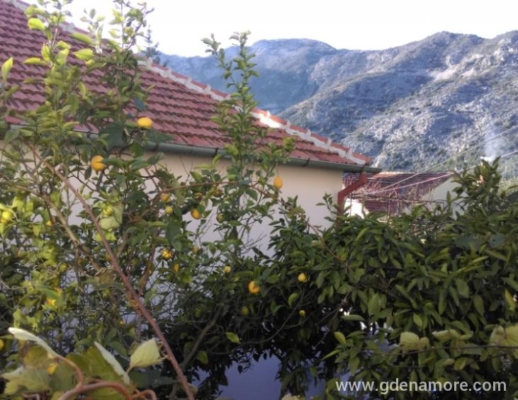 10.Apartmani Popović ba&amp;amp;amp;amp;amp;amp;am